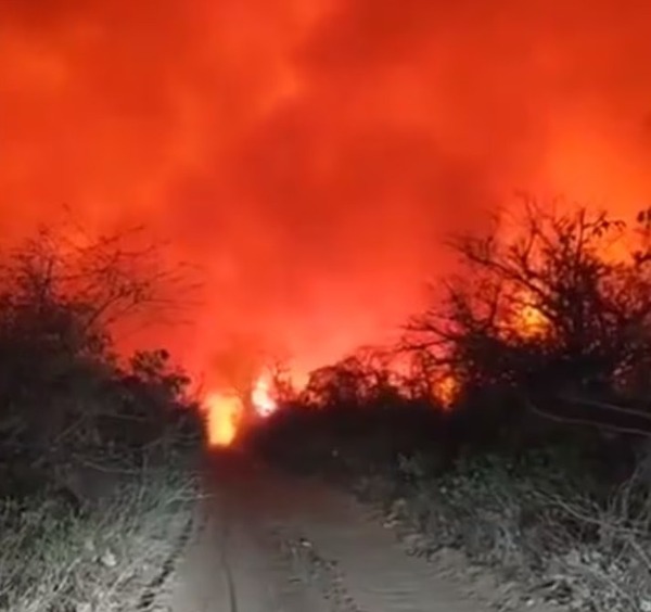 Identifican origen del incendio en el Chaco y anuncian denuncia ante la Fiscalía - ADN Digital