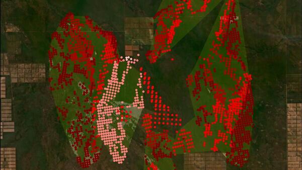 Infona identifica estancia donde se originó incendio en el Chaco y denunciará ante Fiscalía