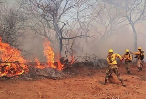 Revelan terribles cifras de afectación por incendios forestales en el Cerro Chovoreca
