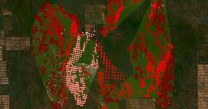Diario HOY | Incendios consumieron más de 84.000 hectáreas en el Chaco, incluyendo bosques nativos