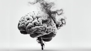 Contaminación ambiental por humo podría causar depresión, ansiedad y hasta Alzheimer