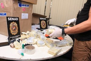 Detectan más de 25 kilos de marihuana “vip” procedente de Miami