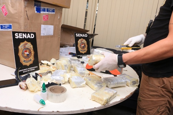 Detectan más de 25 kilos de marihuana “vip” procedente de Miami