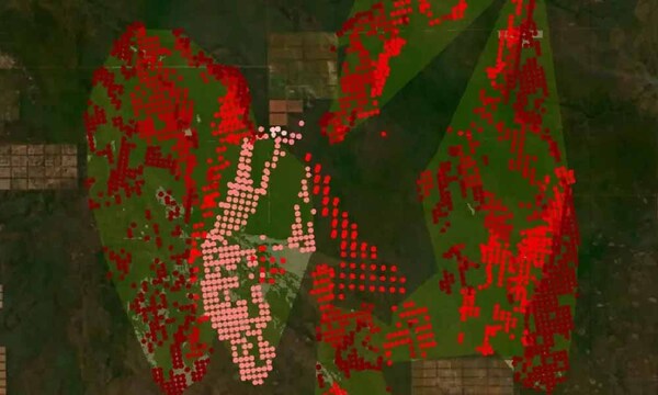 Infona identifica estancia donde se originó incendio en el Chaco y denunciará ante Fiscalía – Prensa 5