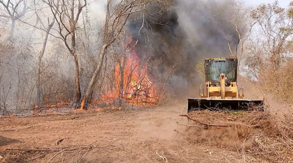 Está en marcha el Plan de Contingencia para mitigar los incendios en el Chaco - Portal Digital Cáritas Universidad Católica