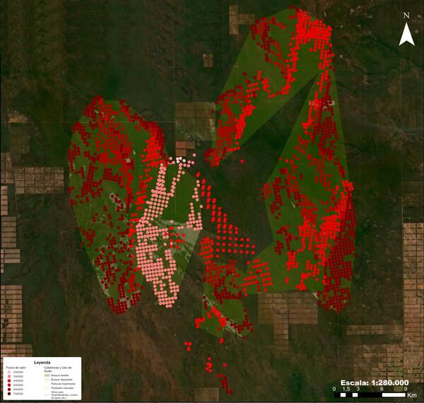 Incendios forestales: Más de 77.000 hectáreas afectadas, mientras el gobierno anuncia sanciones “implacables” - MarketData