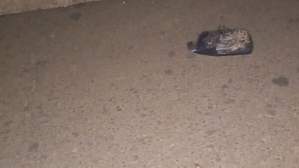 Abuela y su nietita mueren arrolladas por una camioneta