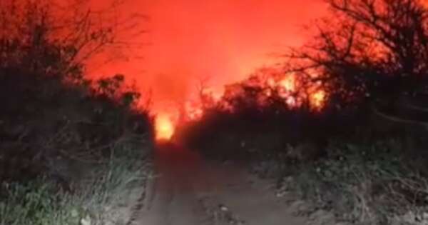 Diario HOY | Organizan colecta para bomberos que combaten los incendios en el Chaco