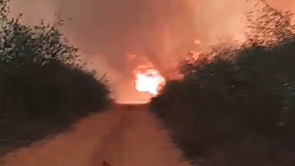 Fiscalía abre de oficio una investigación por incendios en Chovoreca