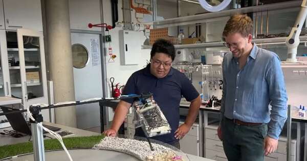 La Nación / La ciencia sorprende al crear la primera pierna robótica con músculos artificiales