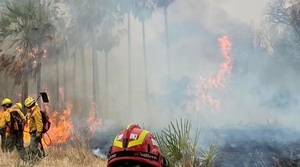 Congreso Nacional evaluará proyecto para declarar emergencia por incendios