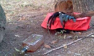 Payé en Liga de Tebicuary: Dejaron un gallo muerto antes de un partido