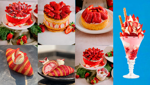 Temporada de frutillas trajo un dulce incremento en la demanda de Tía Laura, Quattro D y Oveja Negra (hasta un 20%)