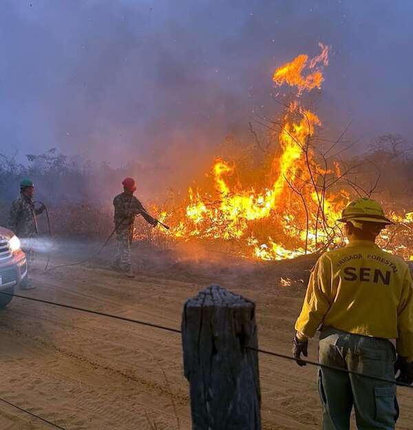Fuego arrasó casi 90.000 ha y está en peligro el Chovoreca - Nacionales - ABC Color