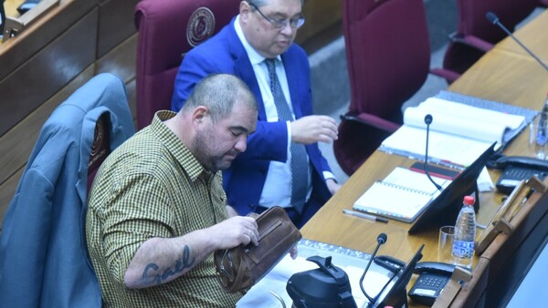 Comisión Bicameral indagará fondos manejados por las ONG