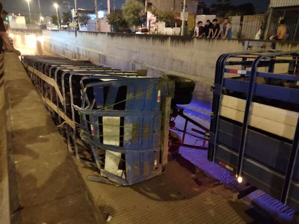 Un camión volcó en el túnel Semidei - Policiales - ABC Color