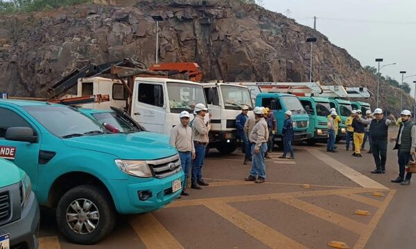 Ande hace mantenimiento preventivo en líneas de 23.000 Voltios en Alto Paraná – Diario TNPRESS