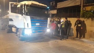 VACAS MUEREN TRAS VUELCO DE TRACTOCAMIÓN EN TÚNEL SEMIDEI