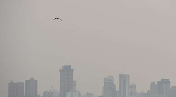 Aire contaminado: lo normal es 50 y estamos en 201, alertan sobre riesgos de intoxicación
