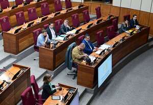 AUDIO: Comisión “garrote”: Soroka dice tener documentos “espeluznantes” sobre el caso “Lalo” Gomes - La Primera Mañana - ABC Color
