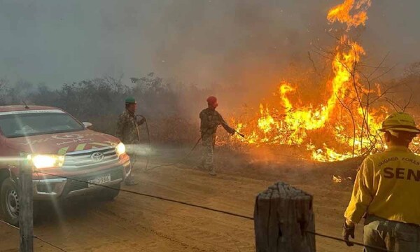 Incendio forestal: Seis instituciones del Chaco suspenden clases presenciales – Prensa 5