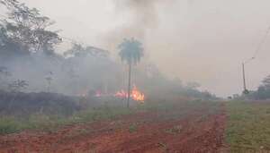 Video: se reaviva el fuego en el Parque Nacional Cerro Corá - Nacionales - ABC Color