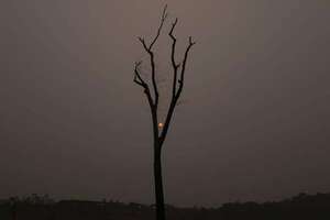 Video: Humo de incendios en Amazonía se extiende por la región - Ciencia - ABC Color