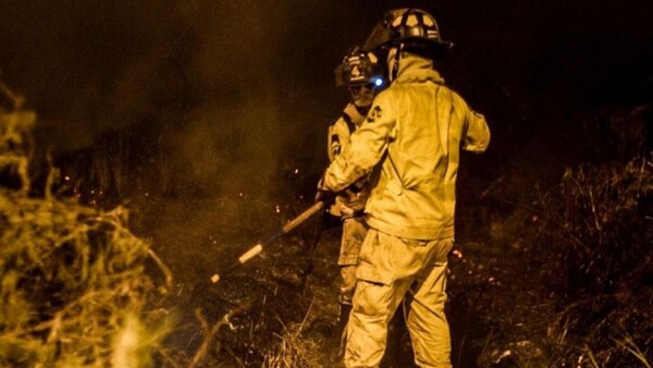 Bomberos reclaman al Gobierno recursos económicos para combatir incendios forestales