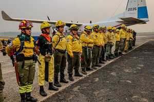 Gobierno moviliza Fuerzas Armadas y bomberos para combatir incendios en el Chaco