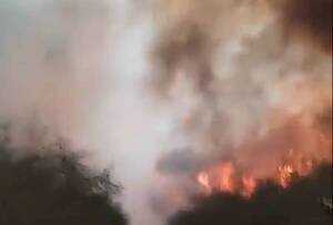 Activan alerta epidemiológica: mala calidad del aire puede tener terribles consecuencias
