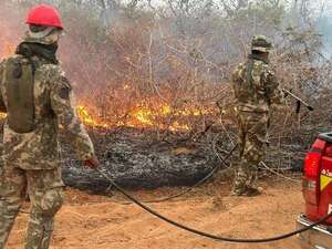 Incendio afecta a más de 100.000 hectáreas en el Chaco: Infona busca una “pena ejemplar”  - Policiales - ABC Color