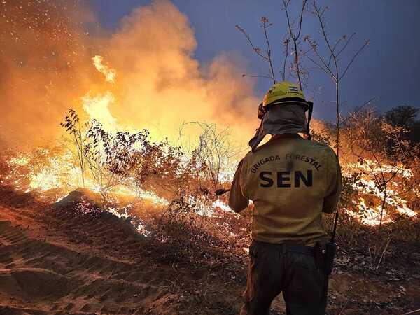 Salud declara alerta epidemiológica ante impacto de incendios forestales - Unicanal