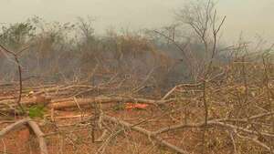 AUDIO: Reportan incendio en la reserva de Mbaracayú y en Santa Rosa del Aguaray  - Periodísticamente - ABC Color