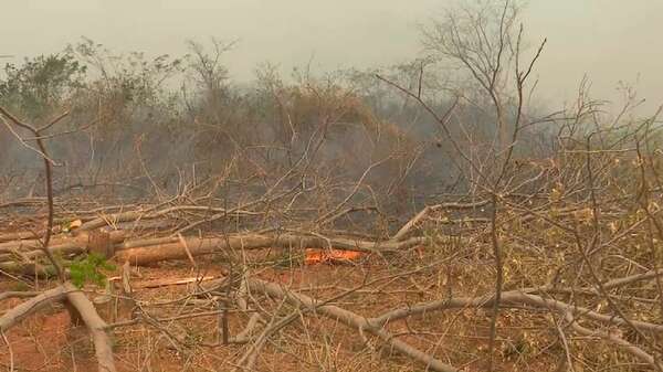 AUDIO: Reportan incendio en la reserva de Mbaracayú y en Santa Rosa del Aguaray - Periodísticamente - ABC Color