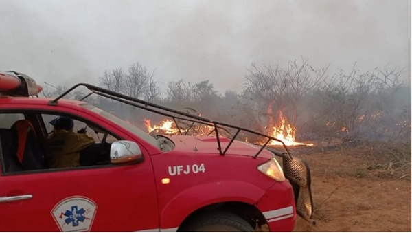Exigen castigo por crímenes ambientales en el Chaco