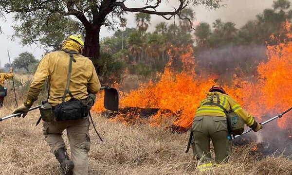 Incendios forestales: bomberos piden donación de insumos y alimentos – Prensa 5