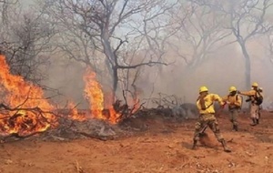 Declaran alerta epidemiológica por incendios forestales en Salud Pública