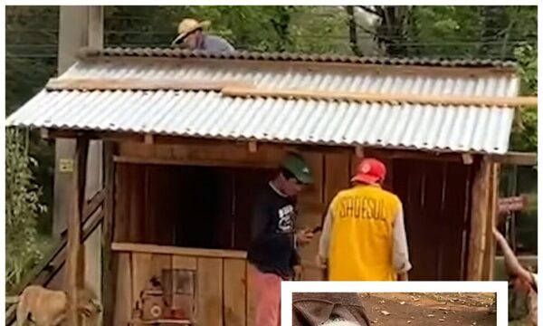 Abuelita logró reconstruir su casilla quemada con ayuda de vecinos