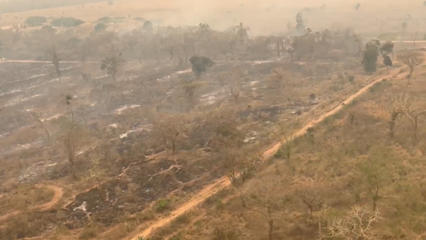Pueblos indígenas: “Son las manos que avivan el fuego por el lucro los culpables”