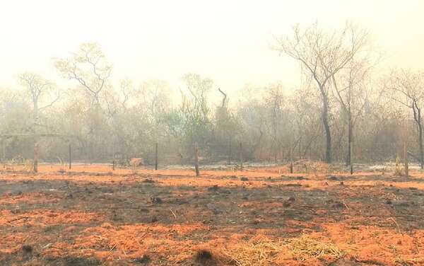Organizaciones alzan su voz ante incendios y humo en Paraguay: “Una catástrofe socioambiental” - Nacionales - ABC Color