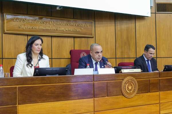 Ministra de Obras Públicas reemplaza a Lea Giménez en el Consejo de Itaipú - Economía - ABC Color
