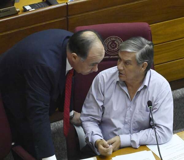 Senado cede lote a fallecida y legaliza una calle ocupada - Política - ABC Color