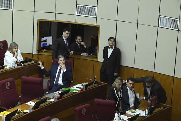 Senado sanciona otra millonaria ampliación para crear más cargos - Política - ABC Color