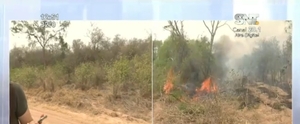 Casi 90 mil hectáreas devastadas por el fuego en el Chaco - SNT