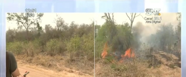 Casi 90 mil hectáreas devastadas por el fuego en el Chaco - SNT