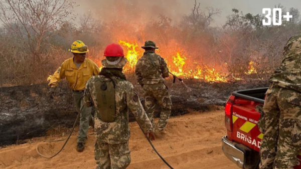 Fuerzas Armadas envió apoyo a los bomberos en los incendios forestales - trece