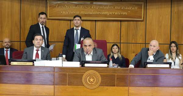 La Nación / Senado exhorta al Ejecutivo a contratar aviones hidrantes para hacer frente a los incendios