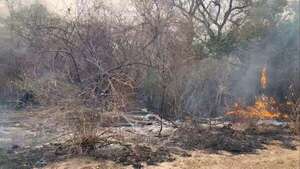 Incendio en el Chaco: dos inmuebles bajo la mira por ser epicentros del fuego, que ya consumió 100.000 hectáreas - Nacionales - ABC Color