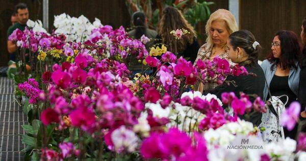 Eventos para inspirarte y crecer