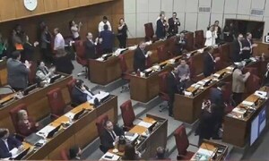 Como si los incendios no importaran, congresistas sesionaron con festejo, baile y palmas – Prensa 5